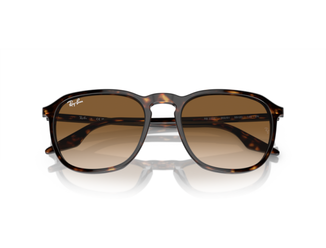 P&auml;ikeseprillid Ray-Ban 0RB2203 Havana Light Brown M