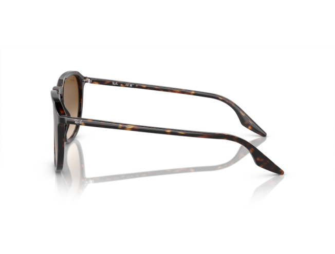 P&auml;ikeseprillid Ray-Ban 0RB2203 Havana Light Brown M