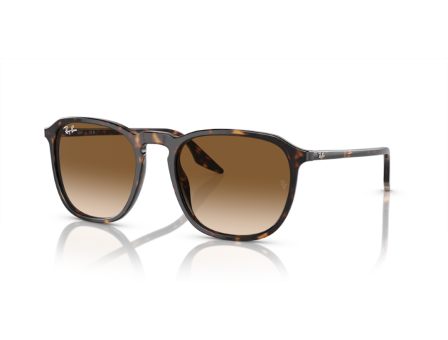 P&auml;ikeseprillid Ray-Ban 0RB2203 Havana Light Brown M