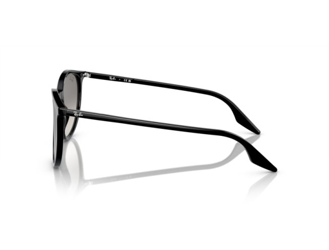 P&auml;ikeseprillid Ray-Ban 0RB2204 Black Light Grey L