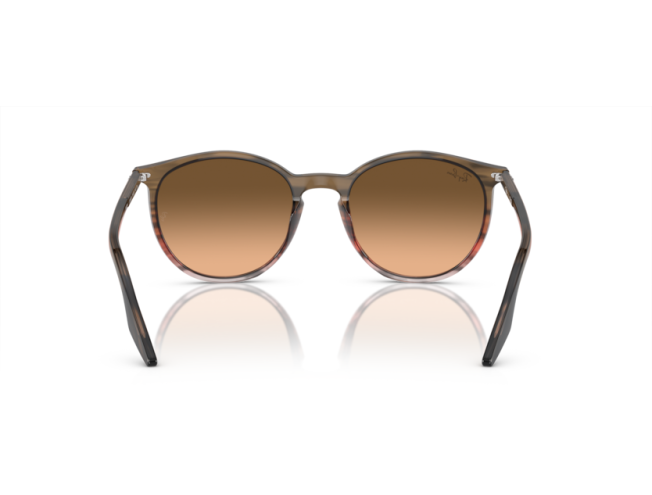 P&auml;ikeseprillid Ray-Ban 0RB2204 Striped Brown & Red Pink/Black L