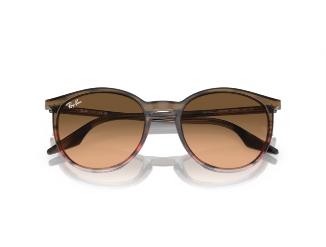 P&auml;ikeseprillid Ray-Ban 0RB2204 Striped Brown & Red Pink/Black L