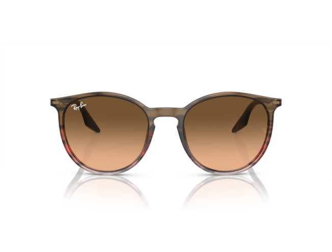 P&auml;ikeseprillid Ray-Ban 0RB2204 Striped Brown & Red Pink/Black L