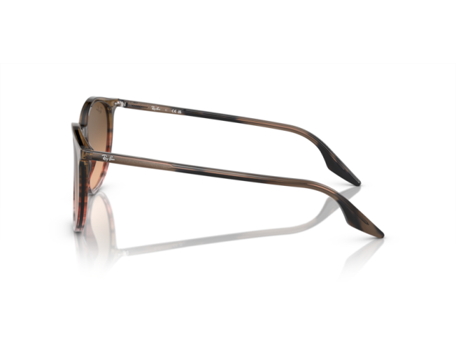 P&auml;ikeseprillid Ray-Ban 0RB2204 Striped Brown & Red Pink/Black L