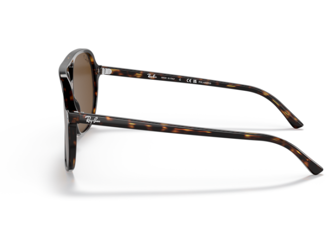P&auml;ikeseprillid Ray-Ban Bill Havana Brown Polarized M
