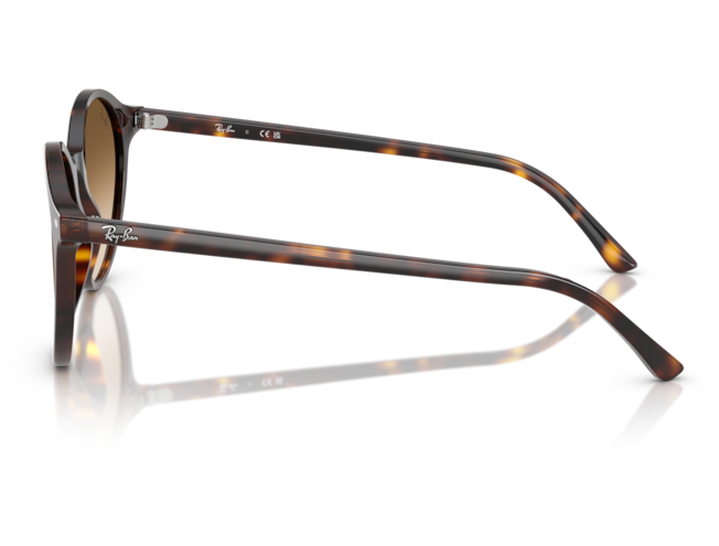 P&auml;ikeseprillid Ray-Ban Bernard Havana Clear Gradient Brown M