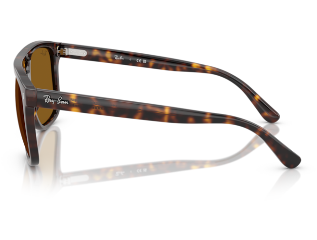 P&auml;ikeseprillid Ray-Ban 0RB2213 Havana B-15 brown