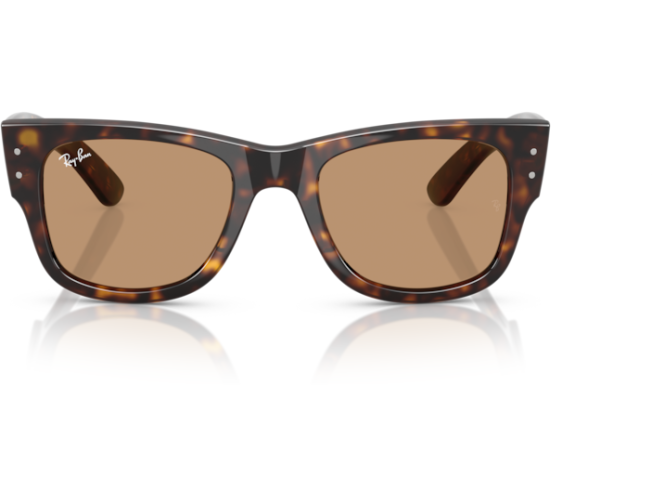 P&auml;ikeseprillid Ray-Ban Mega Wayfarer Havana Brown