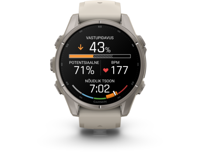 Spordikell Garmin fenix 9 43mm Standard - Titanium with Fog Grey Silicone Band