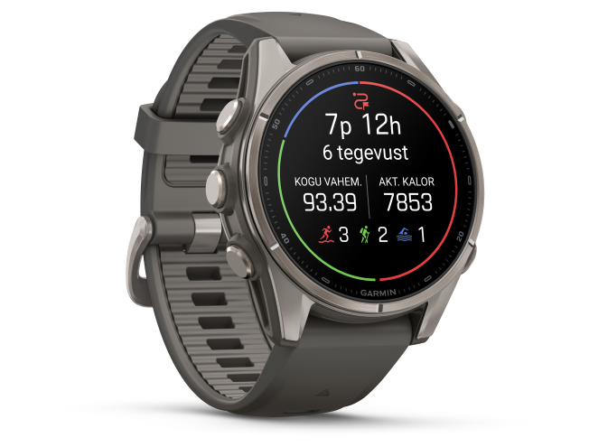 Spordikell Garmin fenix 9 43mm Standard - Titanium with Pebble Grey Silicone Band