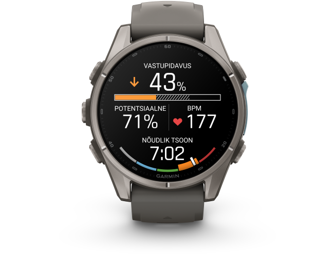 Spordikell Garmin fenix 9 43mm Standard - Titanium with Pebble Grey Silicone Band