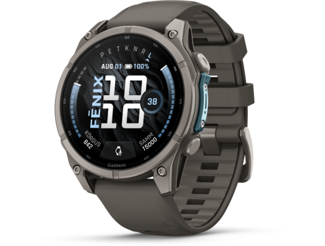 Spordikell Garmin fenix 9 47mm Standard - Titanium with Pebble Grey Silicone Band