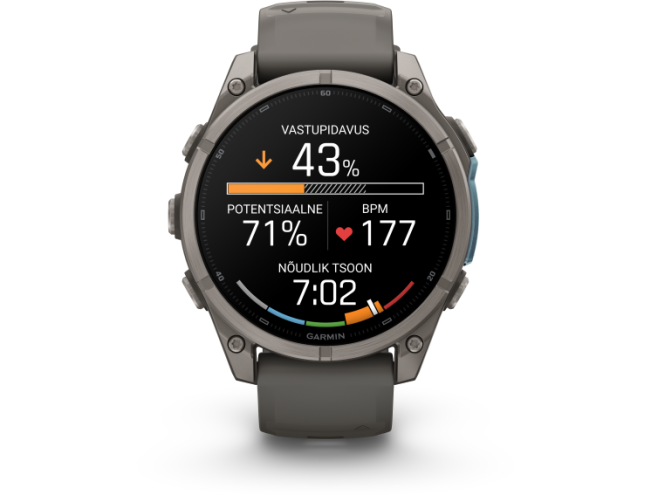 Spordikell Garmin fenix 9 47mm Standard - Titanium with Pebble Grey Silicone Band