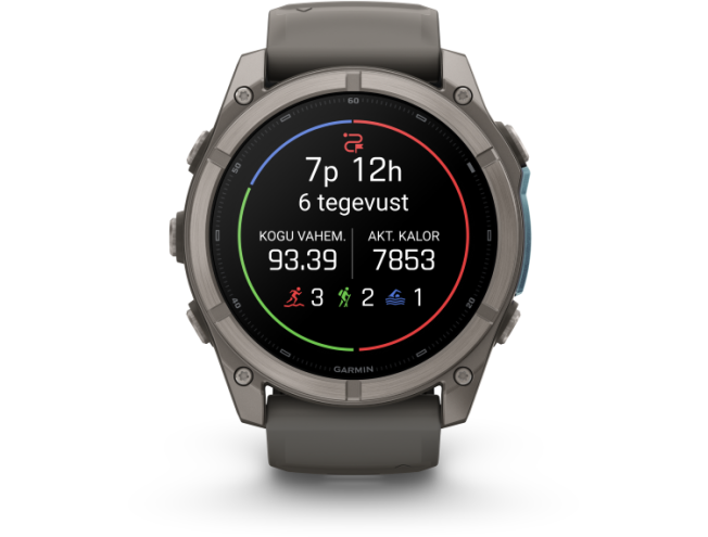 Spordikell Garmin fenix 9 51mm Standard - Titanium with Pebble Grey Silicone Band