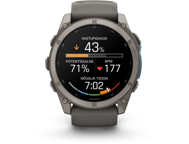 Spordikell Garmin fenix 9 51mm Standard - Titanium with Pebble Grey Silicone Band
