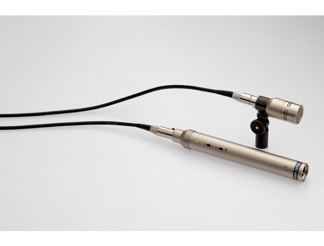 Rode NT6 Compact 1/2" Condenser Microphone with Remote Capsule