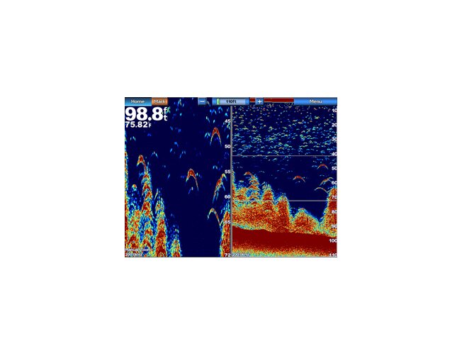 GSD 24