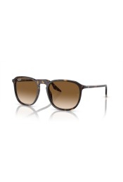 P&auml;ikeseprillid Ray-Ban 0RB2203 Havana Light Brown M