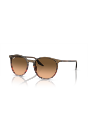 P&auml;ikeseprillid Ray-Ban 0RB2204 Striped Brown & Red Pink/Black L
