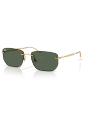 P&auml;ikeseprillid Ray-Ban 0RB3768 Arista Gold Dark Green